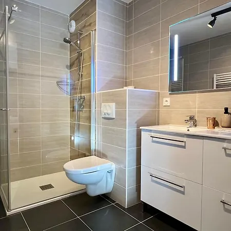 Les Loges Blanches - Apt C001 - Chatel - Bo Immobilier - Reduced Prices On Ski Passes Chatel & Portes Du Soleil